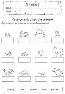 WhatsApp Image 2020-03-30 at 12.13.15 (3).jpeg